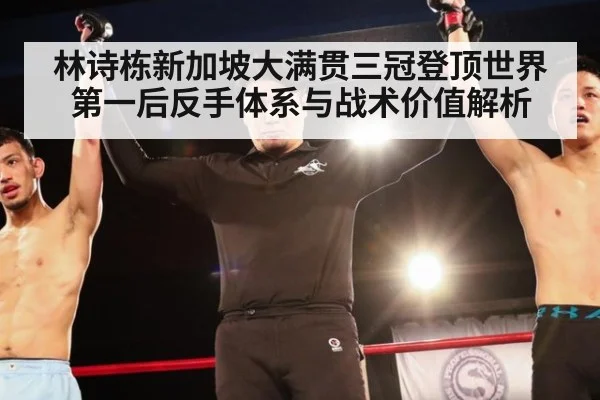 林诗栋新加坡大满贯三冠登顶世界第一后反手体系与战术价值解析